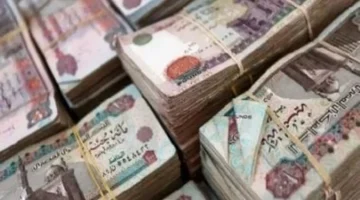 صرف مرتبات ديسمبر 2025 يحدد جدولاً جديدًا يؤثر على التخطيط المالي للعاملين 1